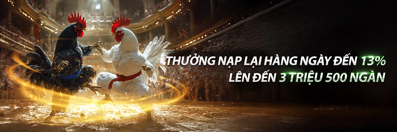 Sân vận động với ánh đèn rực rỡ và khẩu hiệu cá cược thể thao NA99